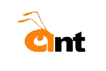 ant